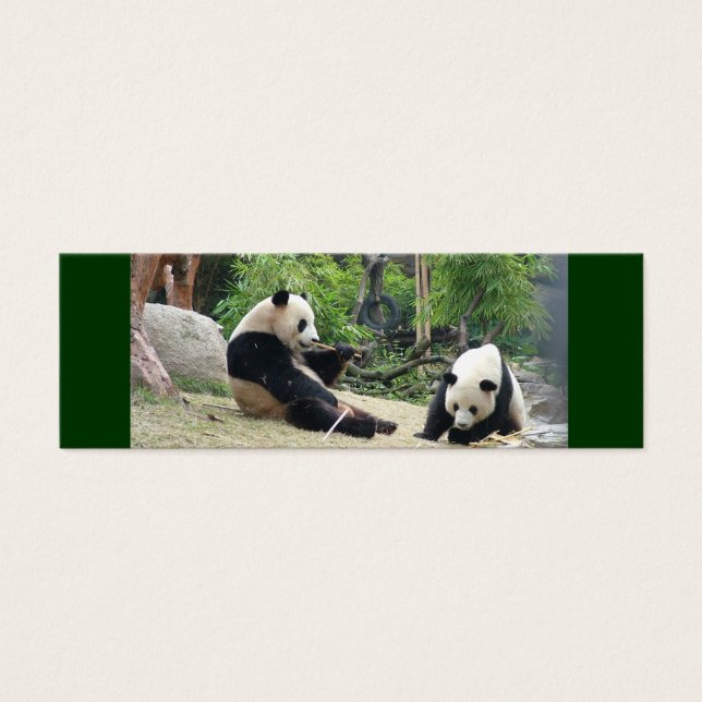Giant panda mini bladwijzer visitekaartjes (Voorkant)