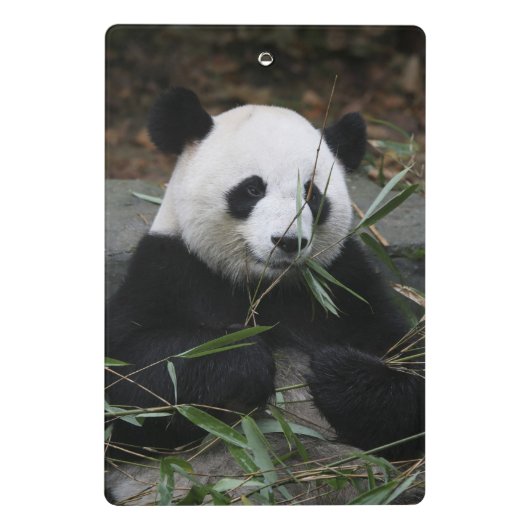 Giant panda mini klembord (Achterkant)