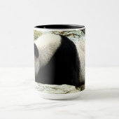 Giant panda mok (Midden)