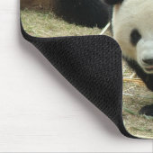 Giant panda muismat (Hoek)