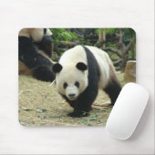 Giant panda muismat (Met muis)