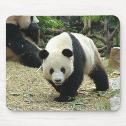 Giant panda muismat (Voorkant)