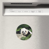 Giant Panda Napping Magneet (Insitu (Vaatwasser))