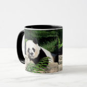 Giant Panda Napping Mok (Voorkant links)