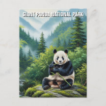 Giant Panda Nationaal Park China Reizen