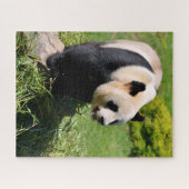 Giant panda op een steen legpuzzel (Horizontaal)