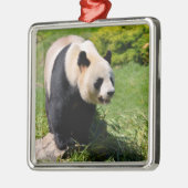 Giant panda op een steen metalen ornament (Links)