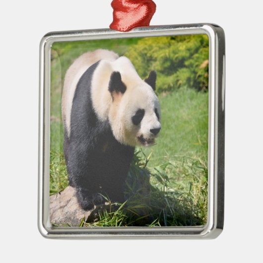 Giant panda op een steen metalen ornament (Links)