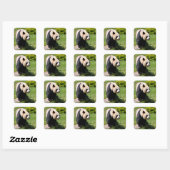 Giant panda op een steen vierkante sticker (Vel)