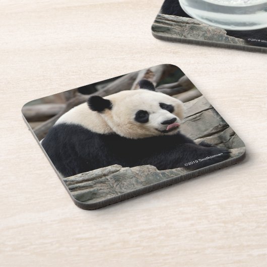 Giant Panda op Rocks Bier Onderzetter (Linkerzijde)