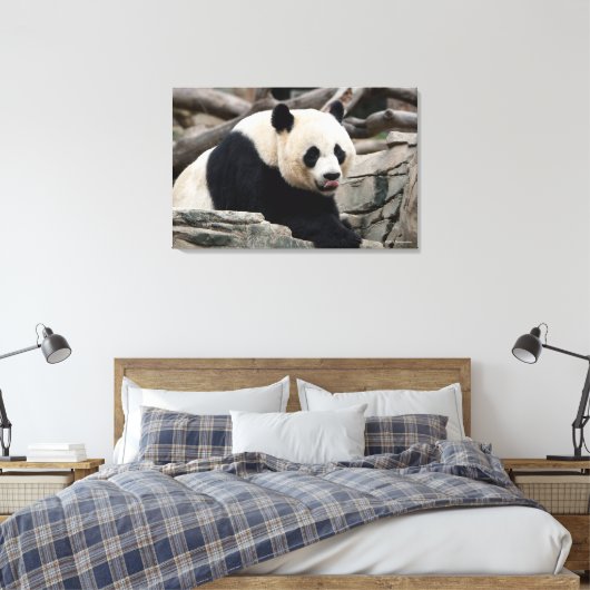 Giant Panda op Rocks Canvas Afdruk (Insitu (Slaapkamer))