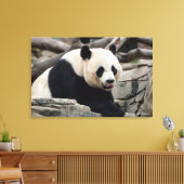 Giant Panda op Rocks Canvas Afdruk (Insitu (Woonkamer))