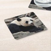 Giant Panda op Rocks Kartonnen Onderzetters (Schuin)