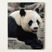 Giant Panda op Rocks Planner (Achterkant)