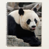 Giant Panda op Rocks Planner (Voorkant)