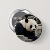 Giant Panda op Rocks Ronde Button 5,7 Cm (Voorkant /achterkant)
