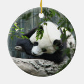 Giant Panda Ornament (Achterkant)