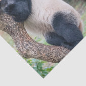 Giant Panda-papier voor weefselproblemen/papier vo Tissuepapier (Detail)