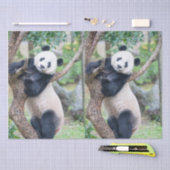 Giant Panda-papier voor weefselproblemen/papier vo Tissuepapier (Craft)