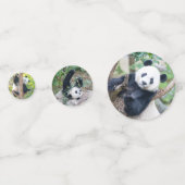 Giant Panda Pics Confetti (Voorkanten)