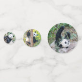 Giant Panda Pics Confetti (Achterkanten)