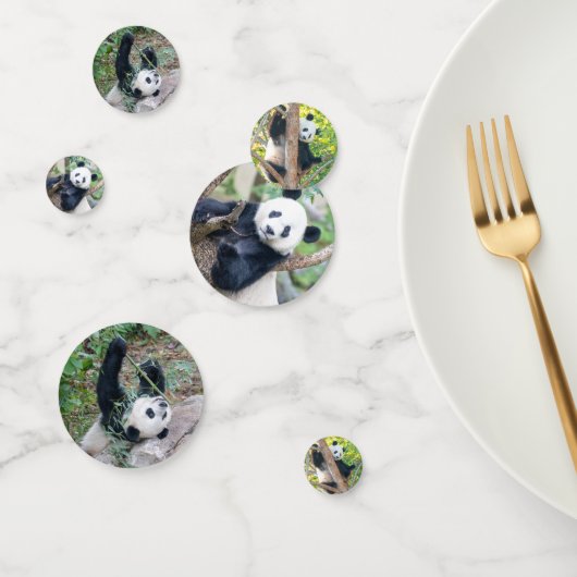 Giant Panda Pics Confetti (Groep)