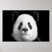 Giant Panda Poster (Voorkant)