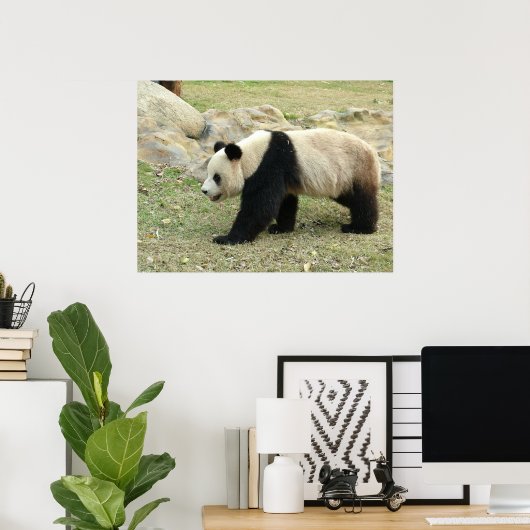 Giant Panda Poster (Thuiskantoor)