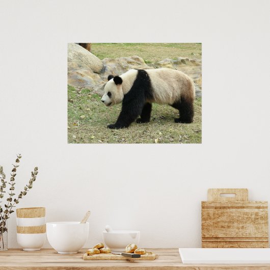 Giant Panda Poster (Keuken)
