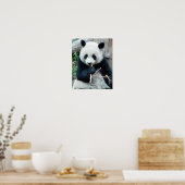 Giant Panda Print (Keuken)