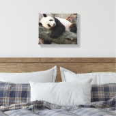 Giant Panda Relaxing and Hugging Tree Branch Canvas Afdruk (Insitu (Slaapkamer))
