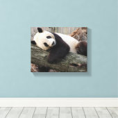 Giant Panda Relaxing and Hugging Tree Branch Canvas Afdruk (Insitu (Houten vloer))