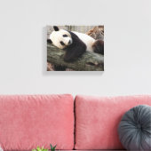 Giant Panda Relaxing and Hugging Tree Branch Canvas Afdruk (Insitu (Woonkamer))