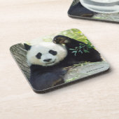 Giant Panda rusteert tegen bomen Bier Onderzetter (Linkerzijde)