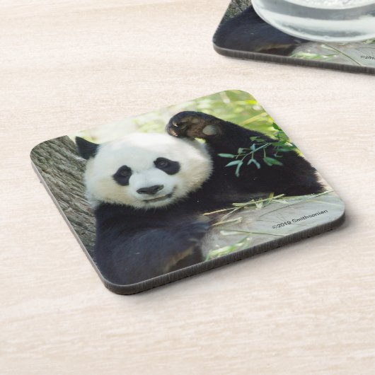 Giant Panda rusteert tegen bomen Bier Onderzetter (Linkerzijde)