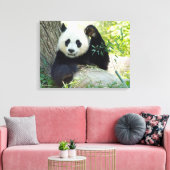 Giant Panda rusteert tegen bomen Canvas Afdruk (Insitu (Woonkamer))