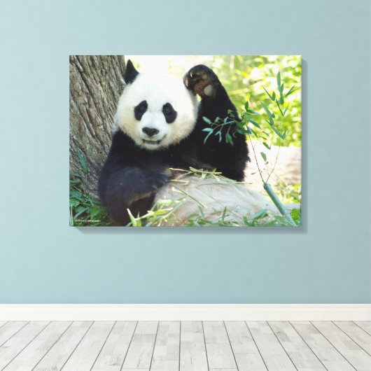 Giant Panda rusteert tegen bomen Canvas Afdruk (Insitu (Houten vloer))