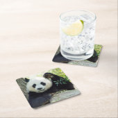 Giant Panda rusteert tegen bomen Kartonnen Onderzetters (Insitu)