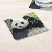 Giant Panda rusteert tegen bomen Kartonnen Onderzetters (Schuin)