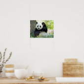 Giant Panda rusteert tegen bomen Poster (Keuken)