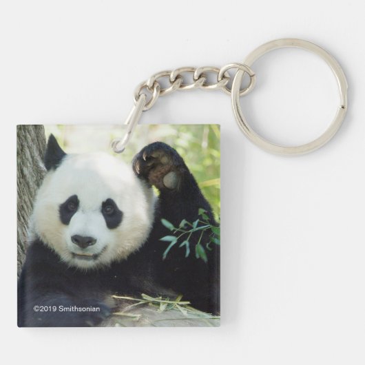 Giant Panda rusteert tegen bomen Sleutelhanger (Achterkant)