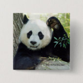Giant Panda rusteert tegen bomen Vierkante Button 5,1 Cm (Voorkant)