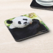 Giant Panda Sitting Bier Onderzetter (Linkerzijde)