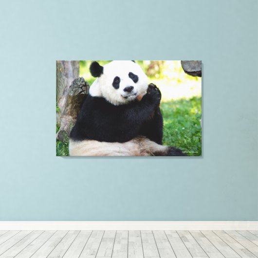 Giant Panda Sitting Canvas Afdruk (Insitu (Houten vloer))