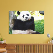 Giant Panda Sitting Canvas Afdruk (Insitu (Woonkamer))