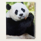 Giant Panda Sitting Planner (Achterkant)