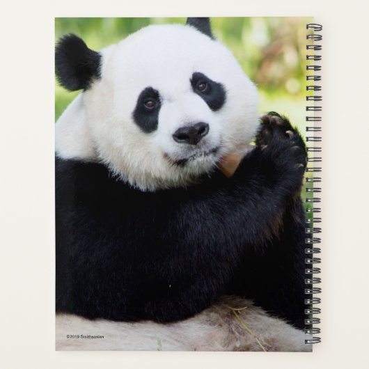 Giant Panda Sitting Planner (Achterkant)