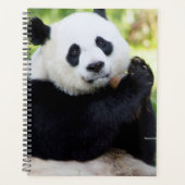 Giant Panda Sitting Planner (Voorkant)