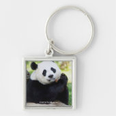 Giant Panda Sitting Sleutelhanger (Voorkant)