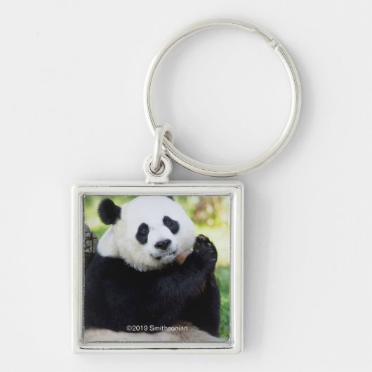 Giant Panda Sitting Sleutelhanger (Voorkant)